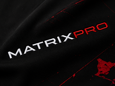 Embroidery, screen, puff & silicone printing